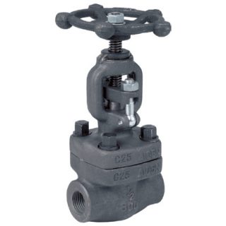 Forged Steel Globe Valve - Socket Weld - Leengate Valves